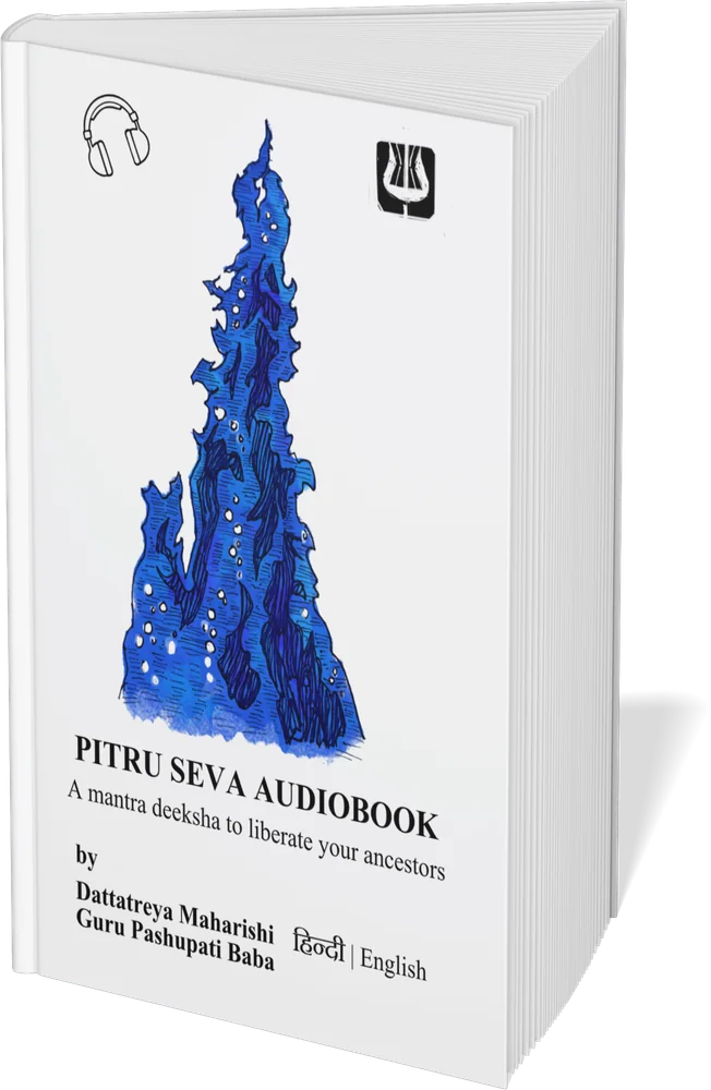 The Pitru Seva audiobook