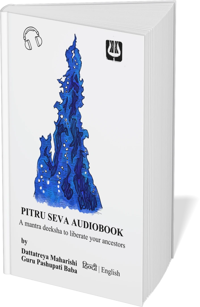 The Pitru Seva audiobook